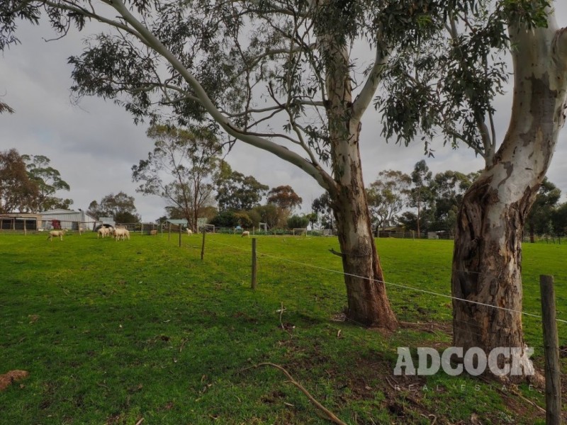 37 Marianna Street, Echunga SA 5153