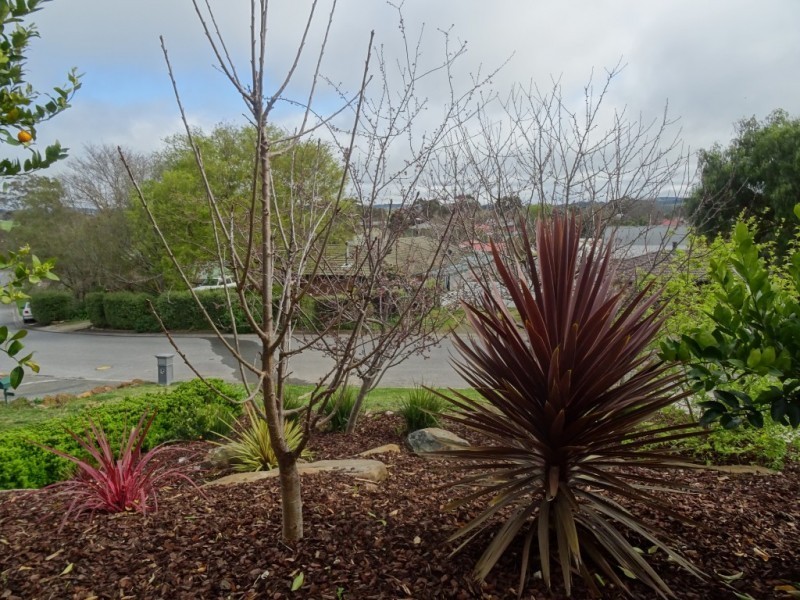 1/80 Grevillea Way, Woodside SA 5244