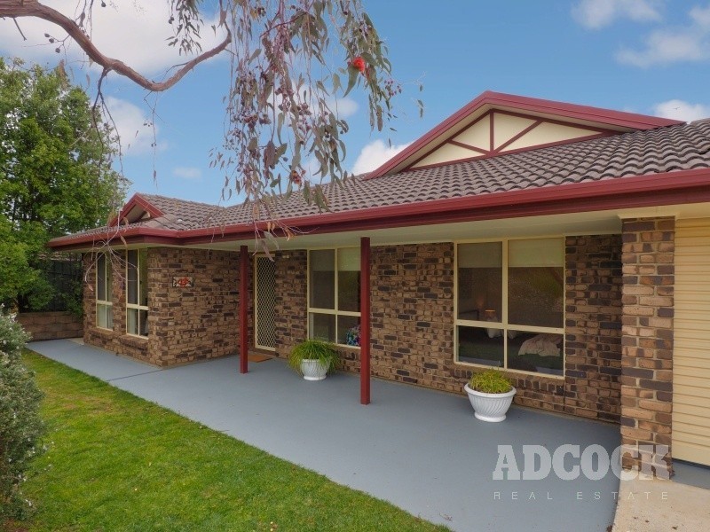13 Sutton Court, Meadows SA 5201