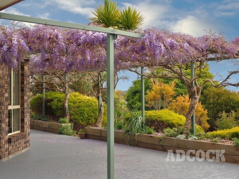 13 Sutton Court, Meadows SA 5201