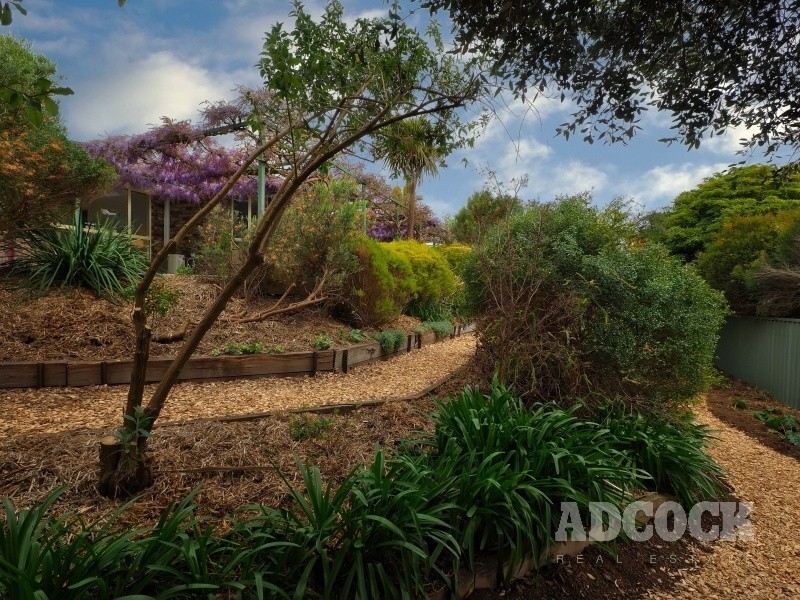13 Sutton Court, Meadows SA 5201