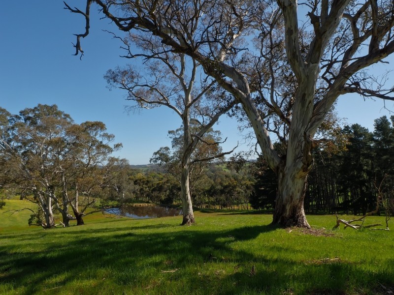 434 Burns Road, Woodside SA 5244