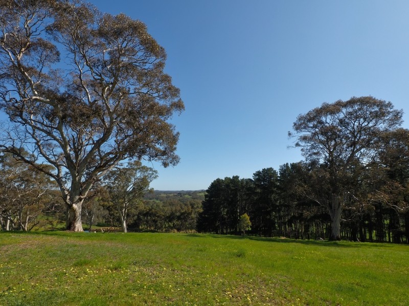 434 Burns Road, Woodside SA 5244