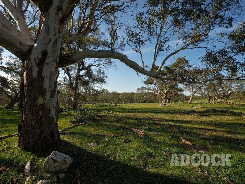 Lot 5318 Warmington Run, Mount Torrens SA 5244