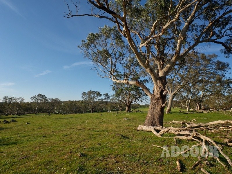 Lot 5318 Warmington Run, Mount Torrens SA 5244