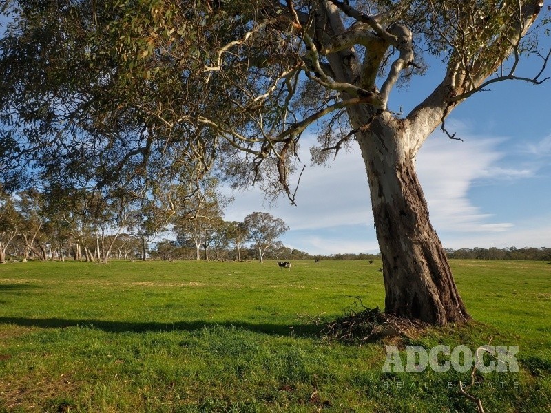 Lot 5318 Warmington Run, Mount Torrens SA 5244