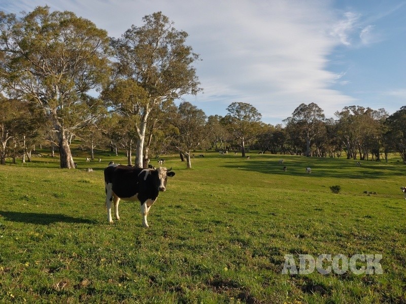 Lot 5318 Warmington Run, Mount Torrens SA 5244