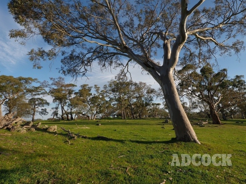 Lot 5318 Warmington Run, Mount Torrens SA 5244