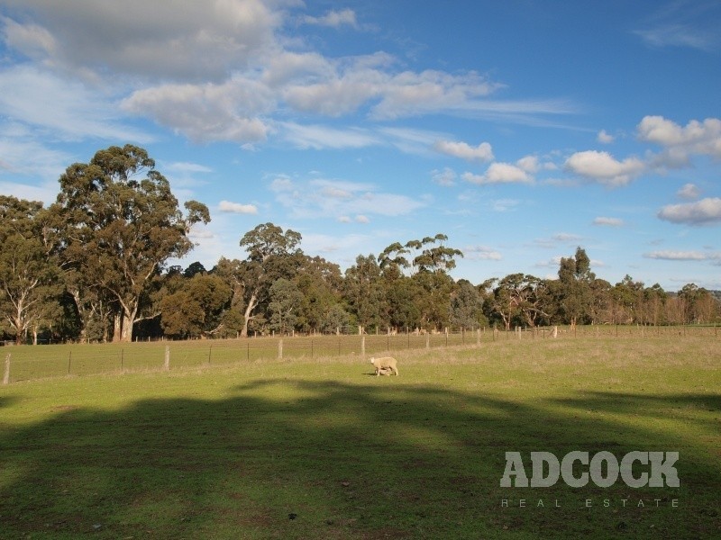 19 Tiers Road, Woodside SA 5244