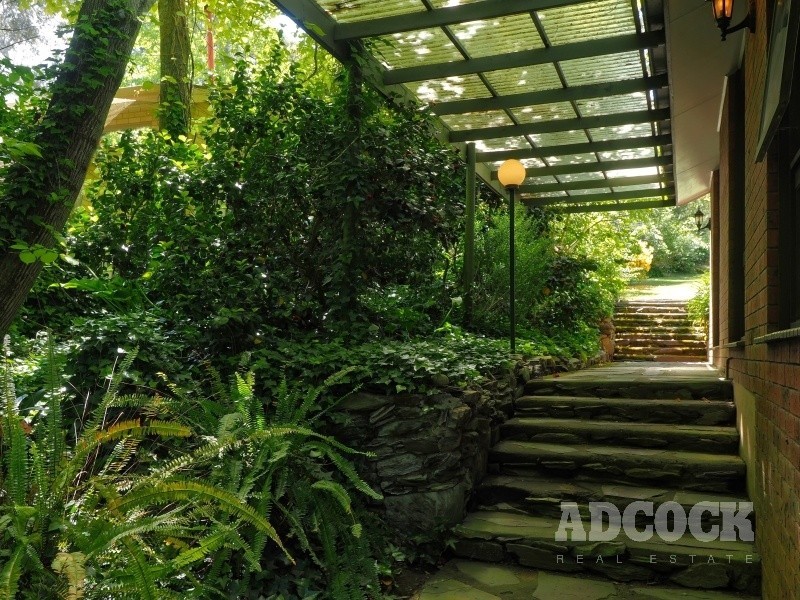 16 Protea Crescent, Crafers SA 5152