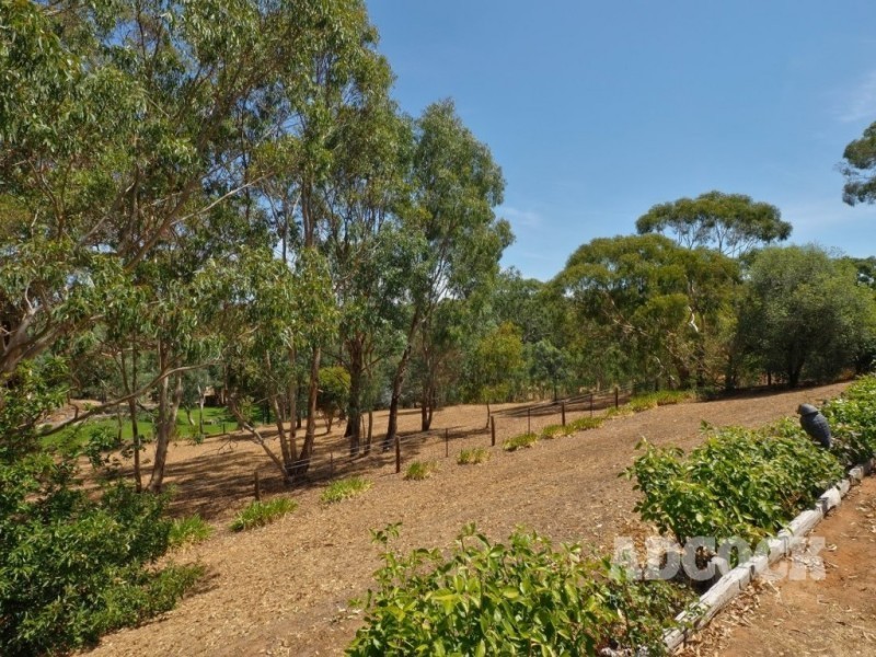 28 Chester Court, Blakiston SA 5250