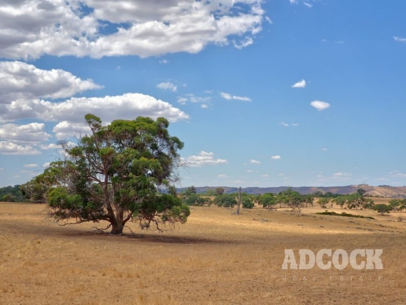 95 Brice Drive, Woodside SA 5244