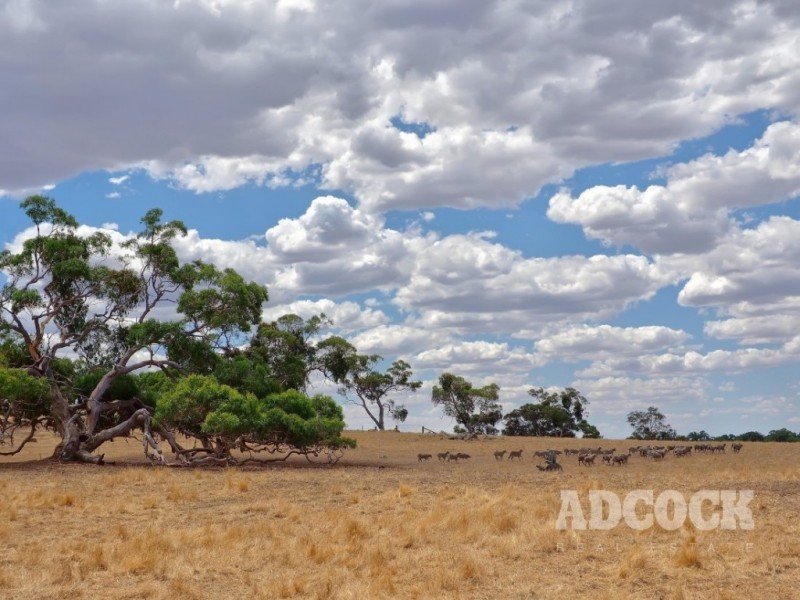 95 Brice Drive, Woodside SA 5244