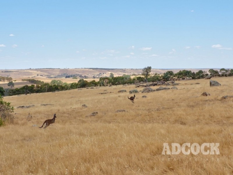 95 Brice Drive, Woodside SA 5244