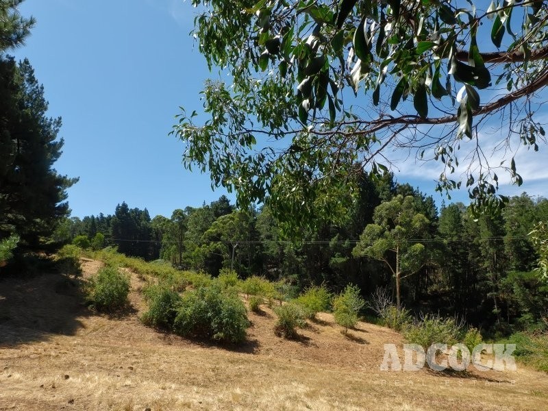 110 Mawson Road, Forest Range SA 5139
