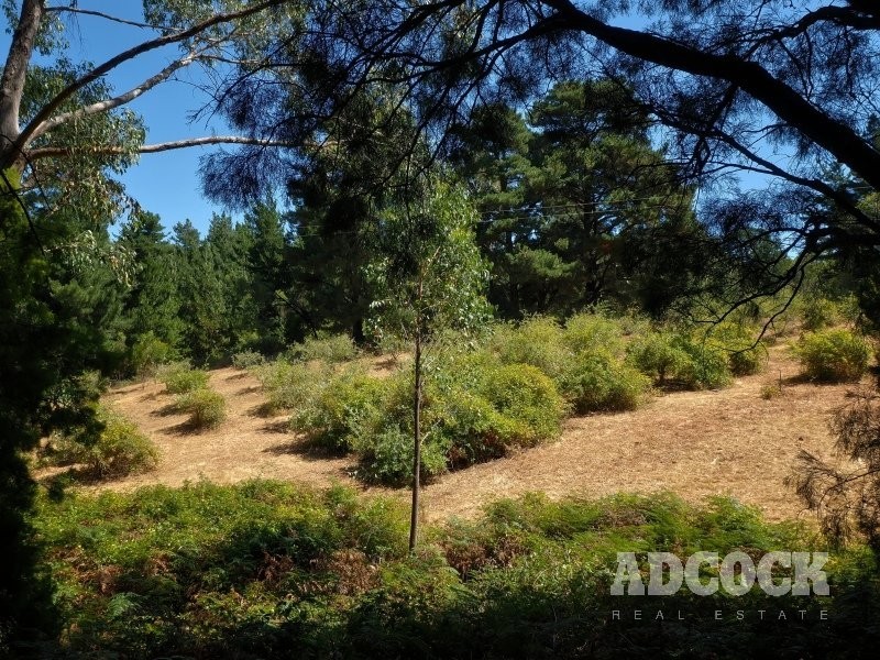 110 Mawson Road, Forest Range SA 5139