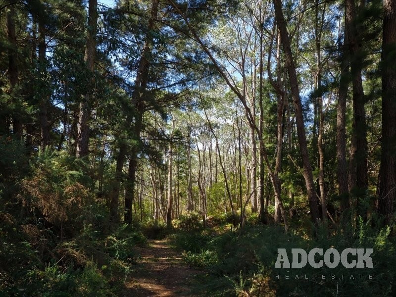 110 Mawson Road, Forest Range SA 5139