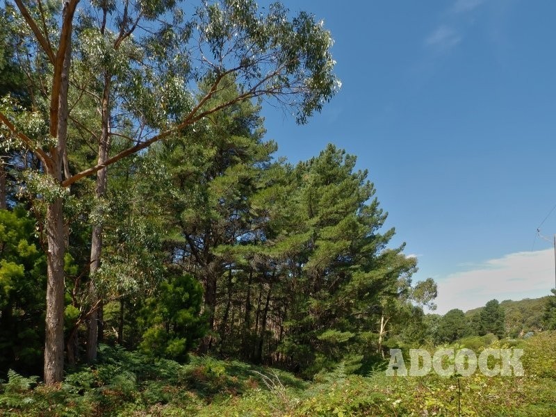 110 Mawson Road, Forest Range SA 5139