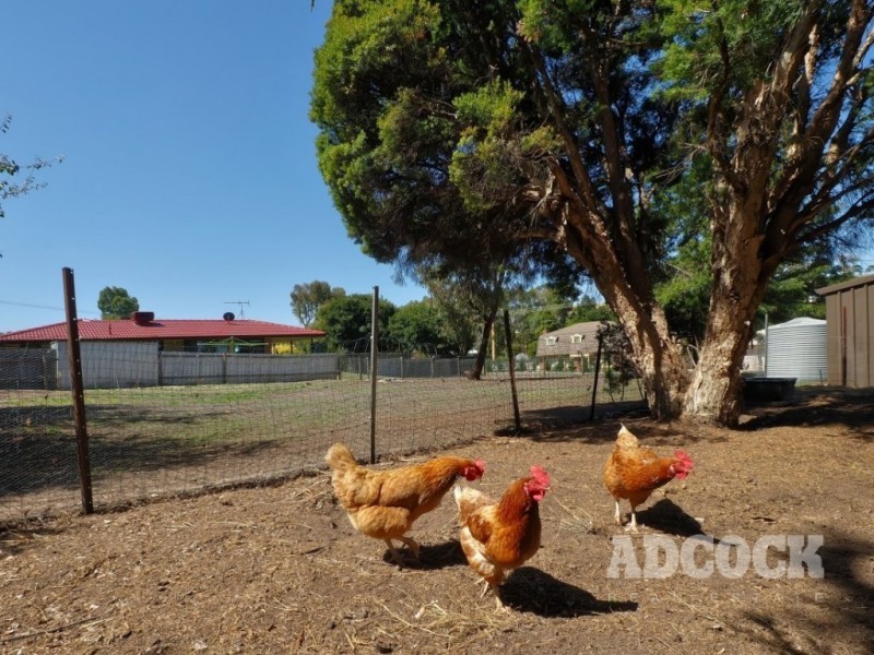 Allot 51 Bassett Street, Nairne SA 5252
