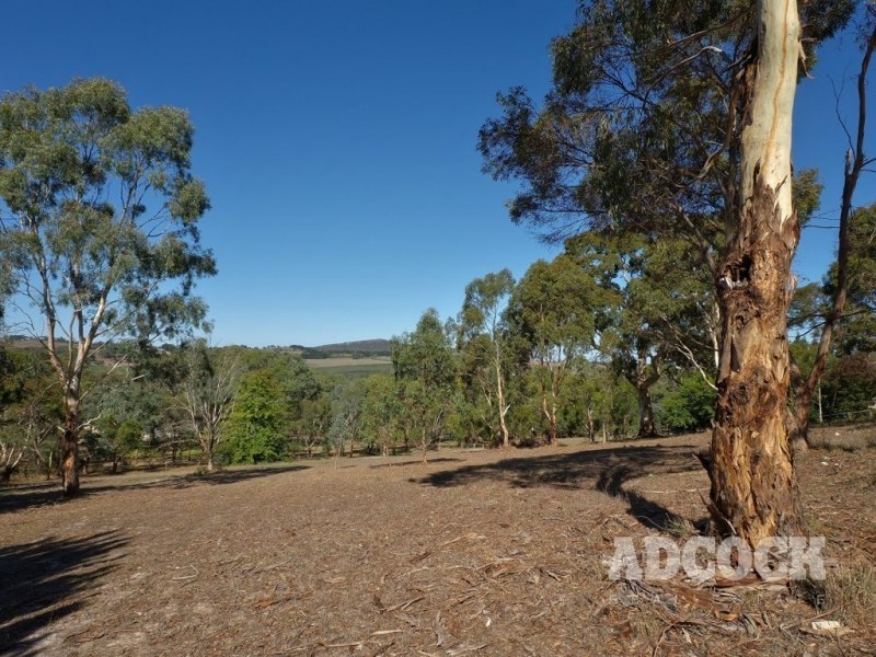 4 Dairy Court, Blakiston SA 5250