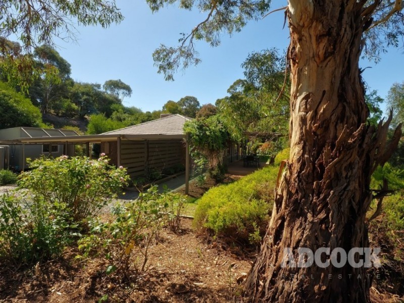 4 Dairy Court, Blakiston SA 5250