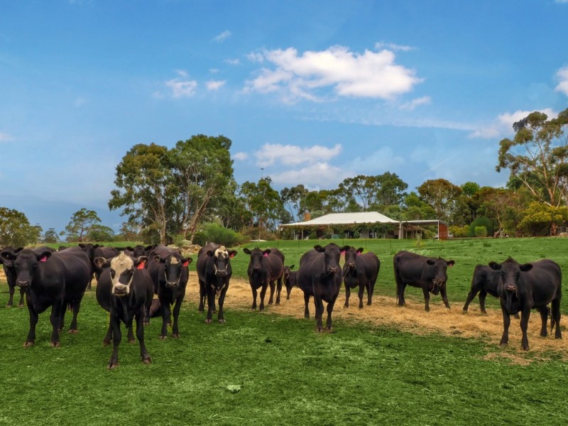 513 Warmington Run, Mount Torrens SA 5244