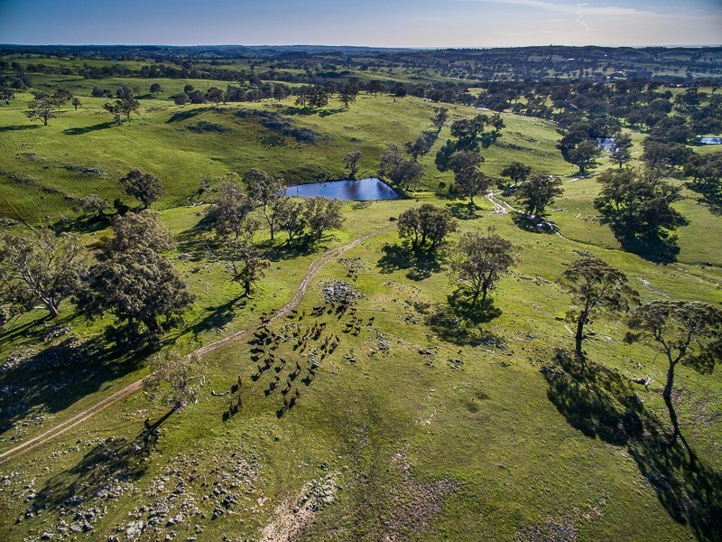 513 Warmington Run, Mount Torrens SA 5244