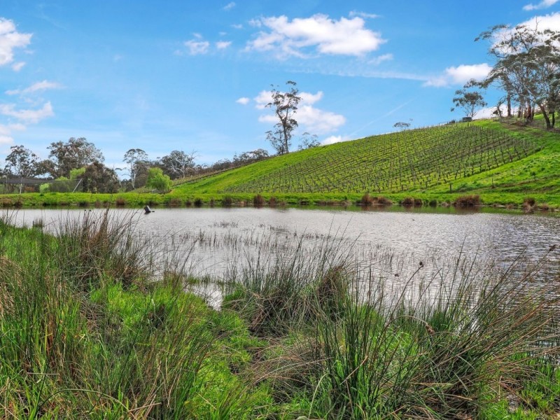 22 Haines Firetrack, Hahndorf SA 5245