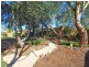 107 Hurling Drive, Mount Barker SA 5251