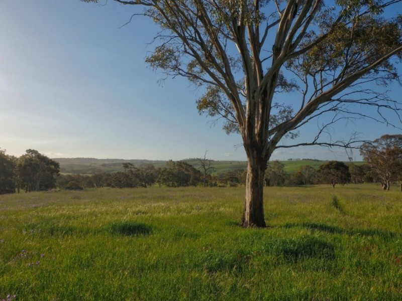 Lot 14, 299 Collins Road, Tungkillo SA 5236