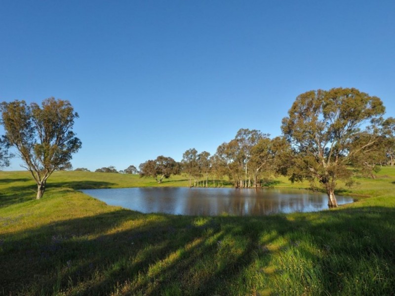 Lot 14, 299 Collins Road, Tungkillo SA 5236