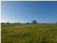 Lot 14, 299 Collins Road, Tungkillo SA 5236