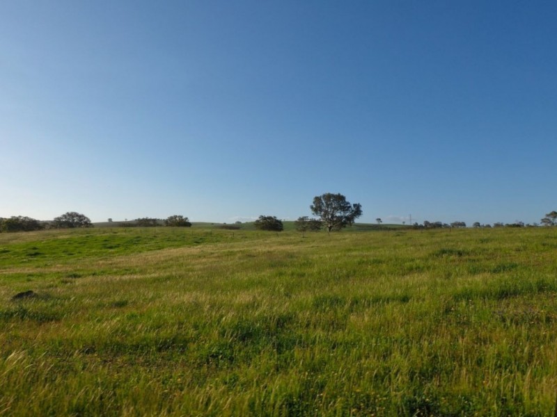 Lot 14, 299 Collins Road, Tungkillo SA 5236