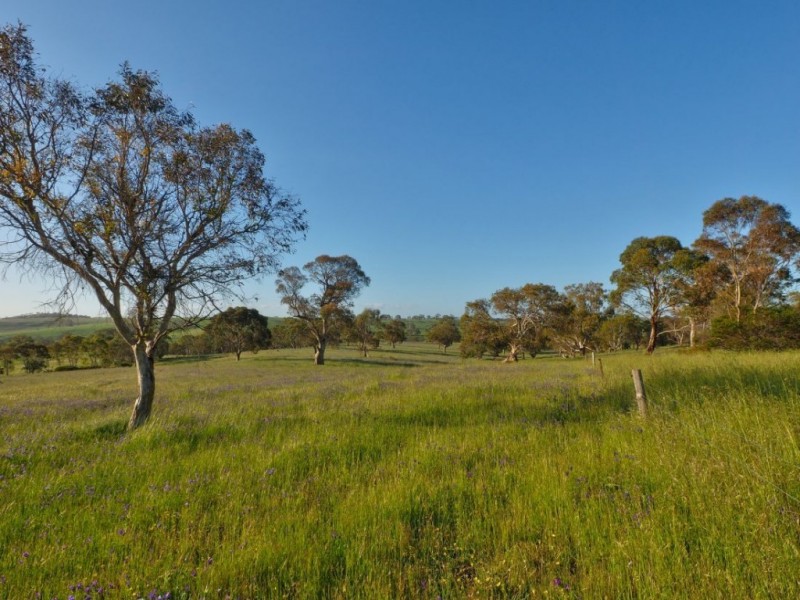 Lot 14, 299 Collins Road, Tungkillo SA 5236