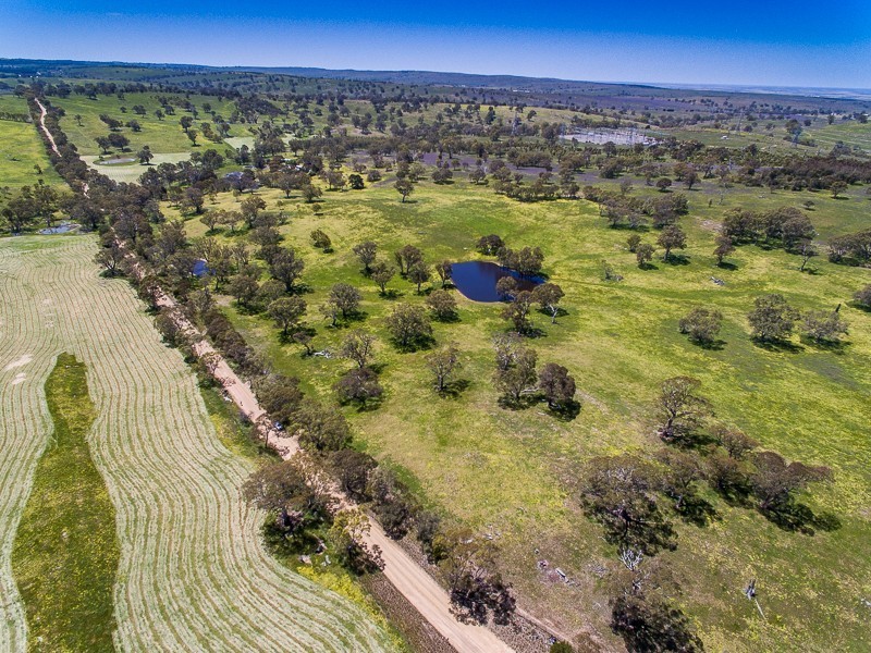 Lot 14, 299 Collins Road, Tungkillo SA 5236