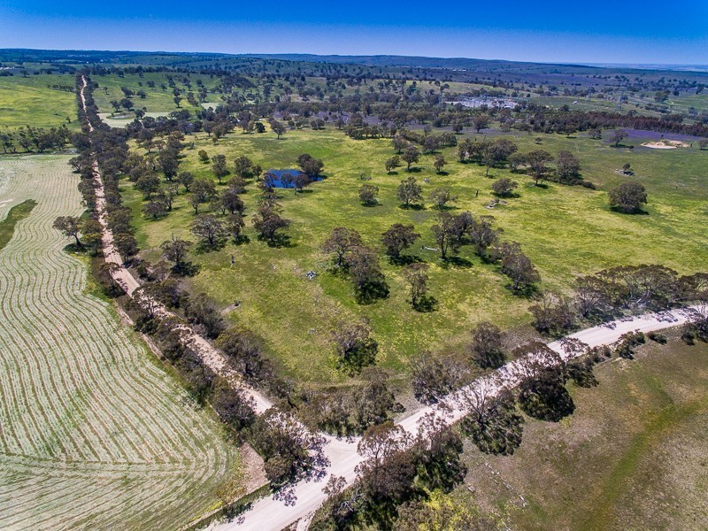 Lot 14, 299 Collins Road, Tungkillo SA 5236