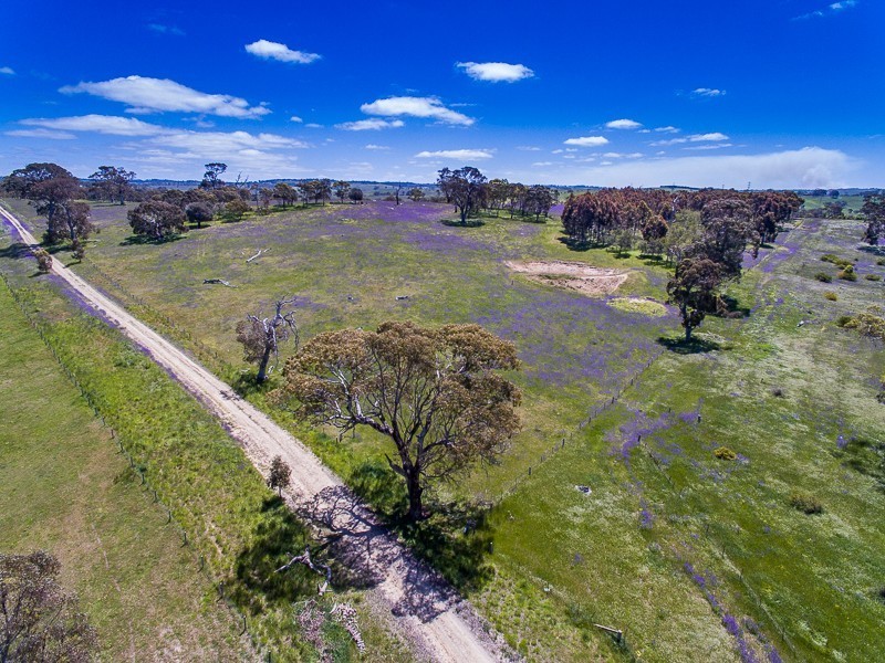 Lot 14, 299 Collins Road, Tungkillo SA 5236