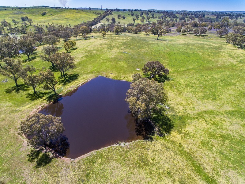 Lot 14, 299 Collins Road, Tungkillo SA 5236