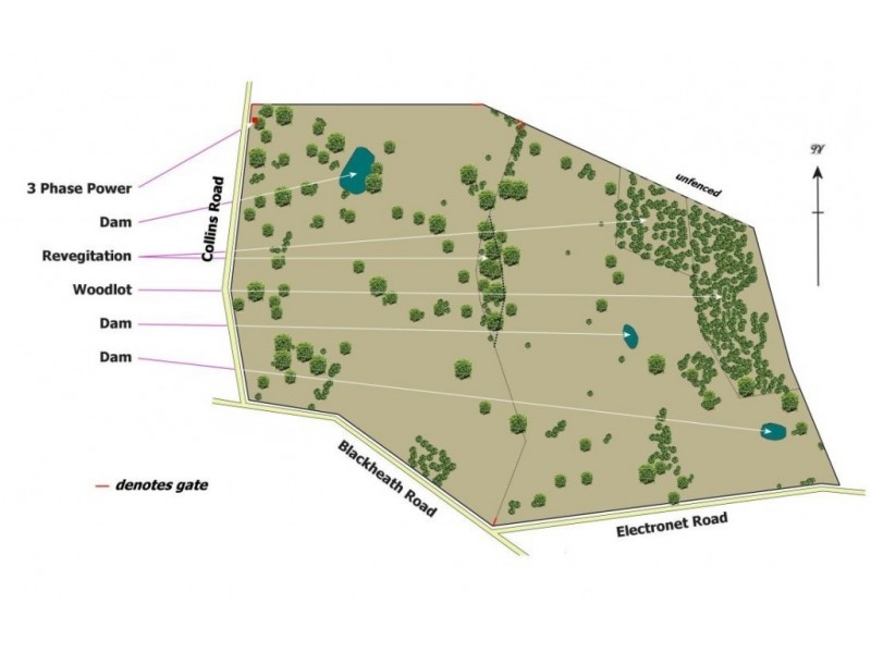 Lot 14, 299 Collins Road, Tungkillo SA 5236 Floorplan