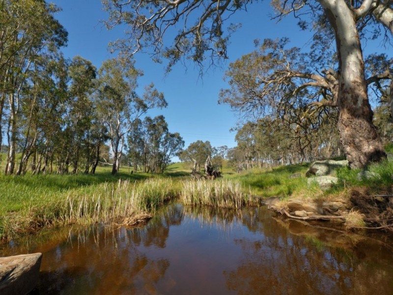 Lot 15, 299 Collins Road, Tungkillo SA 5236