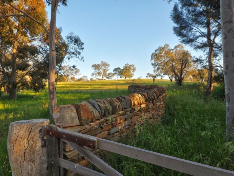 Lot 15, 299 Collins Road, Tungkillo SA 5236