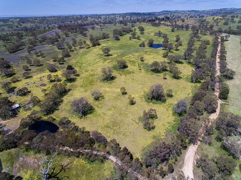 Lot 15, 299 Collins Road, Tungkillo SA 5236