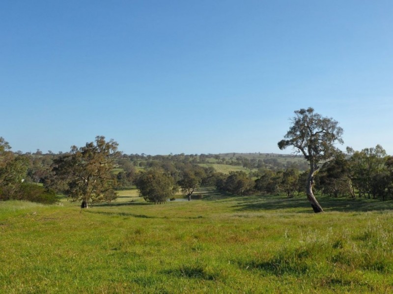 Lot 18, 299 Collins Road, Tungkillo SA 5236