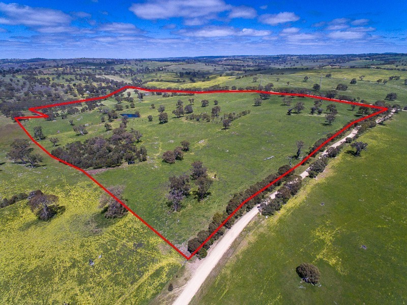 Lot 18, 299 Collins Road, Tungkillo SA 5236