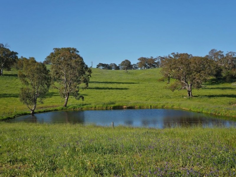 Lot 18, 299 Collins Road, Tungkillo SA 5236