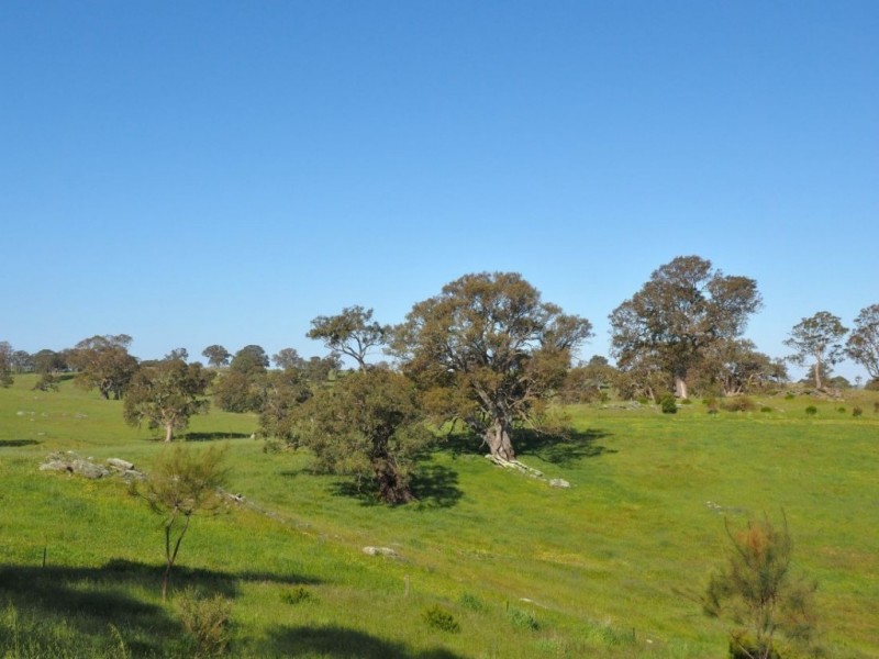 Lot 18, 299 Collins Road, Tungkillo SA 5236