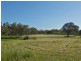 Lot 18, 299 Collins Road, Tungkillo SA 5236