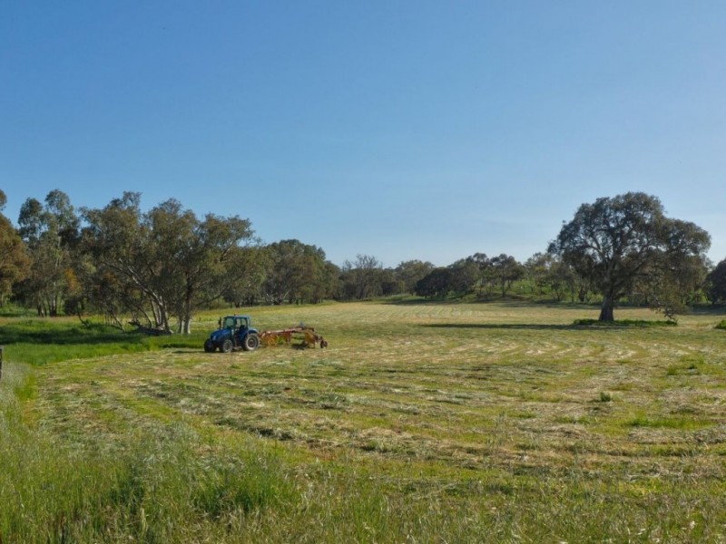 Lot 18, 299 Collins Road, Tungkillo SA 5236