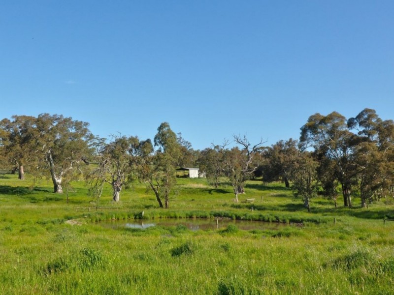 Lot 18, 299 Collins Road, Tungkillo SA 5236