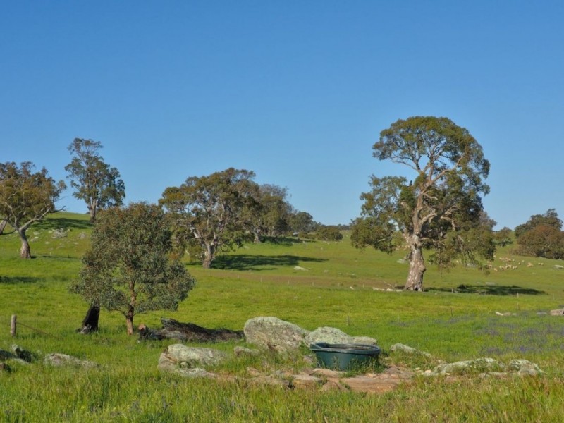 Lot 18, 299 Collins Road, Tungkillo SA 5236